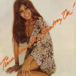 Tina Turns The Country On - Tina Turner