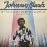 What A Wonderful World - Johnny Nash