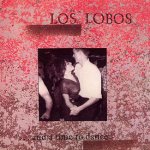 ... And A Time To Dance - Los Lobos