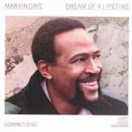 Dream Of A Lifetime - Marvin Gaye