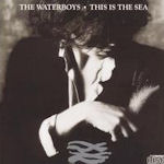 This Is The Sea - Waterboys