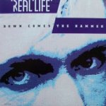 Down Comes The Hammer - Real Life
