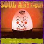 Made To Be Broken - Soul Asylum