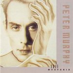 Love Hysteria - Peter Murphy