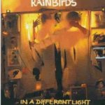 In A Different Light - Rainbirds
