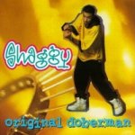 Original Doberman - Shaggy