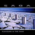 Pleasure And The Pain - Saga