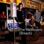 Breach - Wallflowers