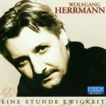 Eine Stunde Ewigkeit - Wolfgang Herrmann