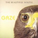 Gaze - Beautiful South