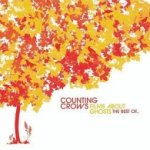 Films About Ghosts - The Best Of... - Counting Crows