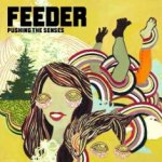 Pushing The Senses - Feeder