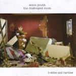 The Destroyed Room - B-Sides And Rarities - Sonic Youth