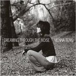 Dreaming Through The Noise - Vienna Teng