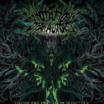 Before The Throne Of Infection - Annotations Of An Autopsy