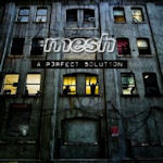 A Perfect Solution - Mesh