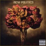 New Politics - New Politics