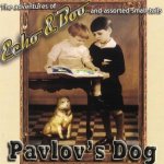 Echo And Boo - Pavlov