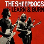 Learn And Burn - Sheepdogs