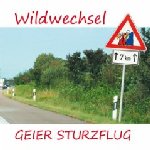 Wildwechsel - Geier Sturzflug