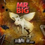 What If - Mr. Big