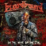In The Name Of Metal - Bloodbound