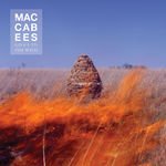 Given To The Wild - Macabees