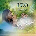Flying Heart - Leo Rojas