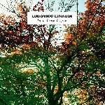 In A Time Lapse - Ludovico Einaudi