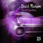 Purple Cadillacs - David Munyon