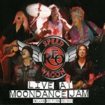 Live At Moondance Jam - REO Speedwagon