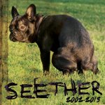 2002 - 2013 - Seether