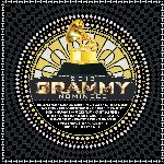 Grammy Nominees 2013 - Sampler