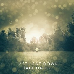 Fake Lights - Last Leaf Down