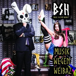 Musik wegen Weibaz - Bass Sultan Hengzt