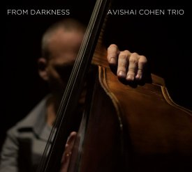 From Darkness - Avishai Cohen Trio