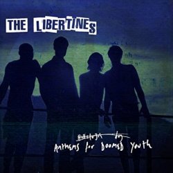 Anthems For Doomed Youth - Libertines