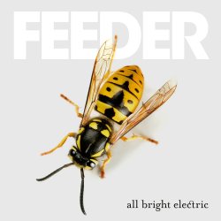 All Bright Electric - Feeder