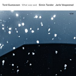 What Was Said - Tord Gustavsen, Simin Tander + Jarle Vespestad