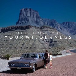 Your Wilderness - Pineapple Thief