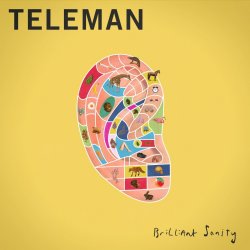 Brilliant Sanity - Teleman