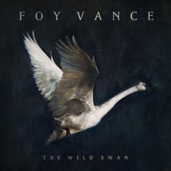 The Wild Swan - Foy Vance