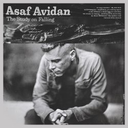 The Study On Falling - Asaf Avidan