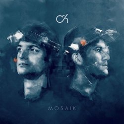 Mosaik - Camo + Krooked