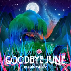 Magic Valley - Goodbye June