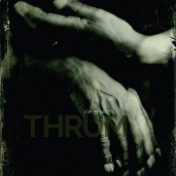Thrum - Joe Henry