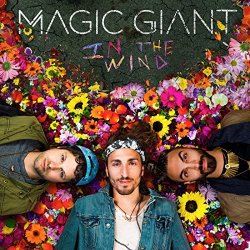 In The Wind - Magic Giant