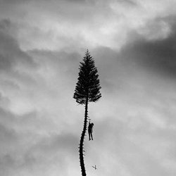 A Black Mile To The Surface - Manchester Orchestra