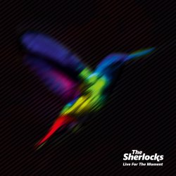 Live For The Moment - Sherlocks