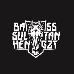 Bester Mann - Bass Sultan Hengzt